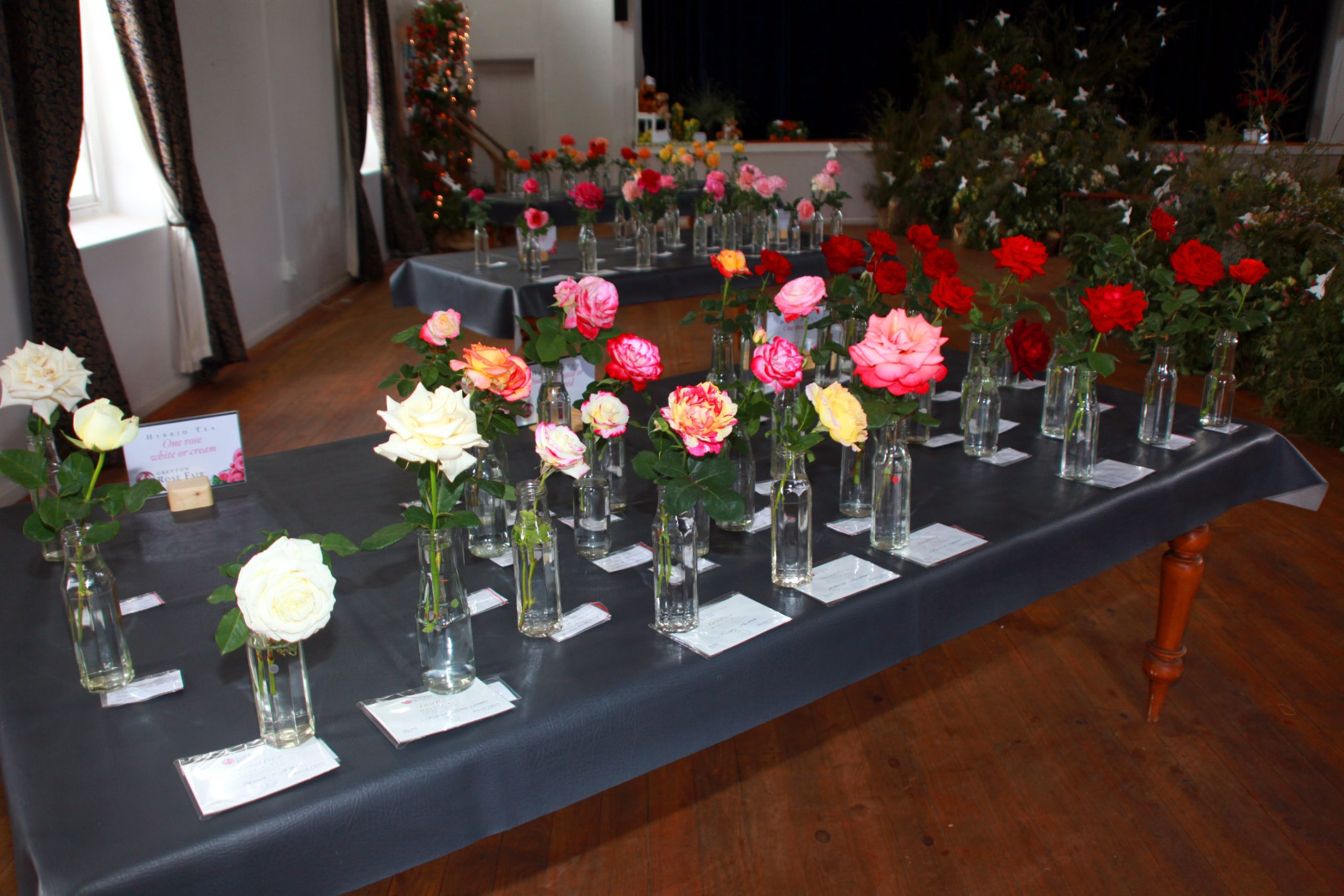 Rose awards