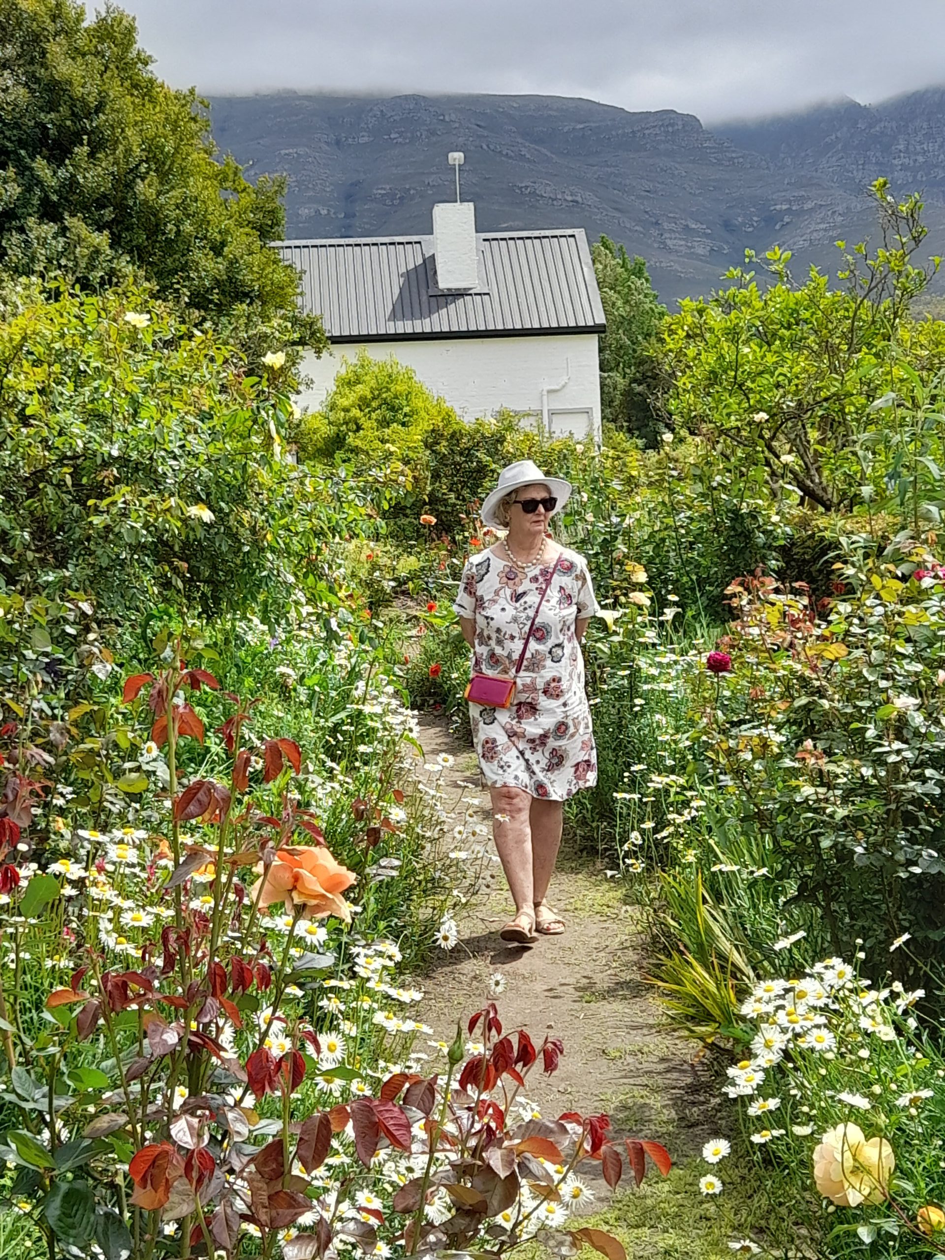Greyton rose garden