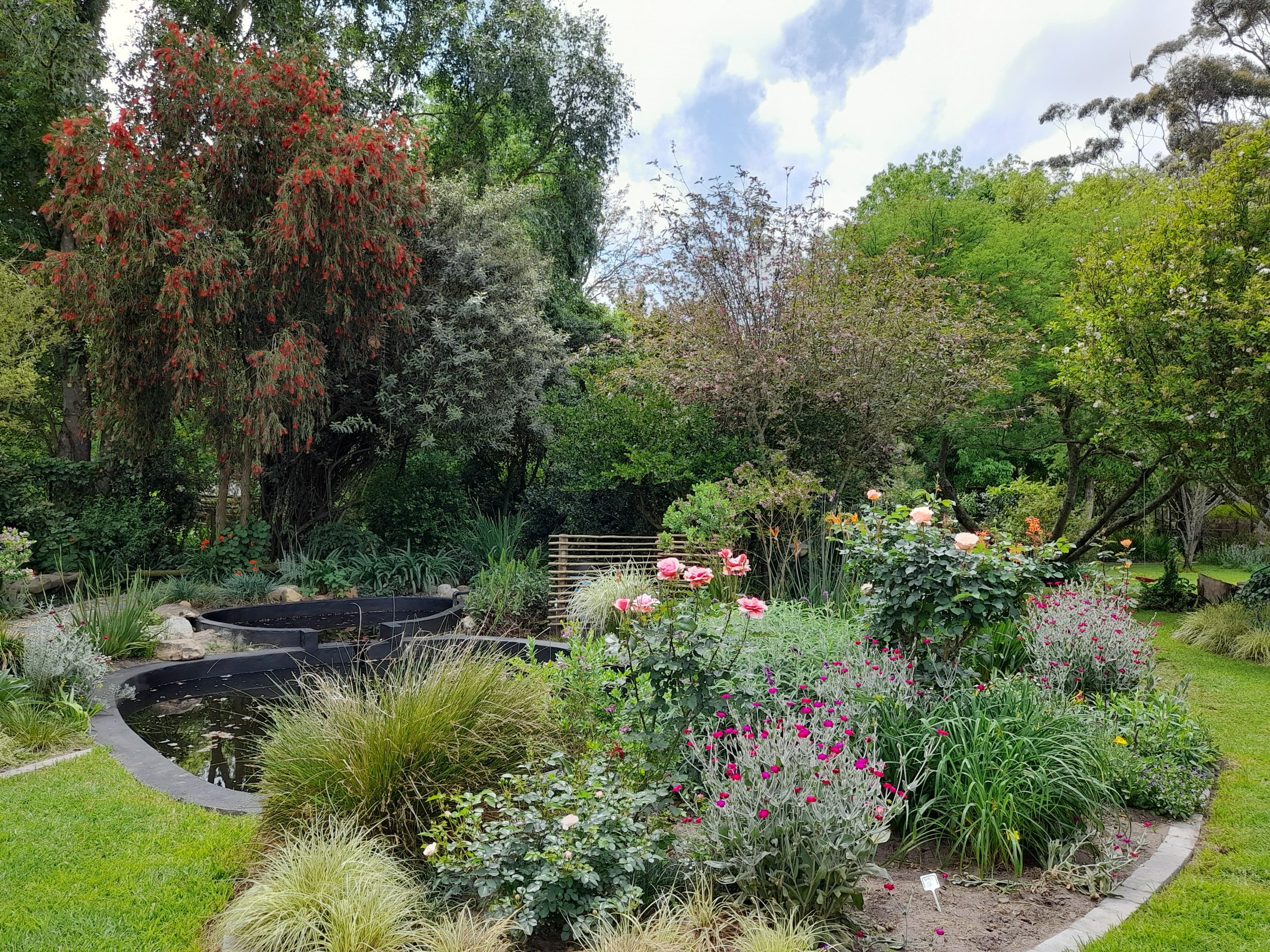 Garden visitors